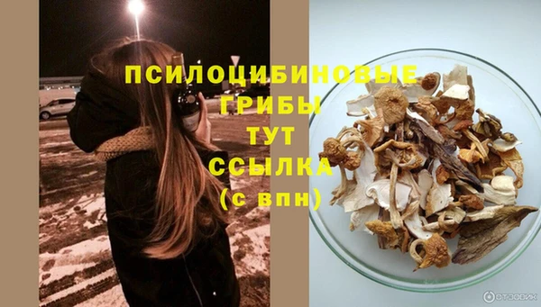сатива Абаза