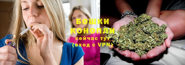 сатива Абаза